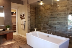 bathroom-design-after-1-1