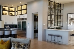 home-renovation