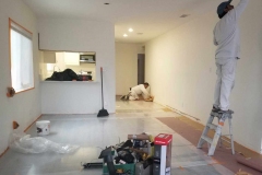 painting-and-full-house-renovation